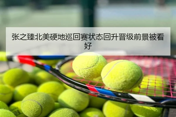 张之臻北美硬地巡回赛状态回升晋级前景被看好