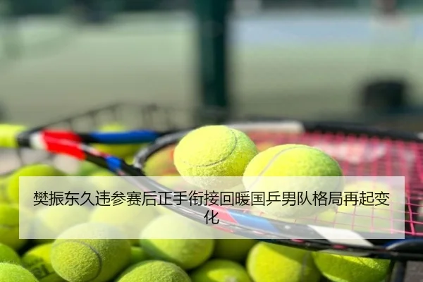 樊振东久违参赛后正手衔接回暖国乒男队格局再起变化